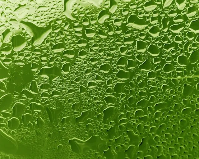 Cette cure est une méthode idéale pour revitaliser votre corps. Faites le plein de vitamines, minéraux, phytonutriments et d’enzymes. Donner une pause à votre système digestif et aider le corps à nettoyer et expulser les surcharges toxiques.